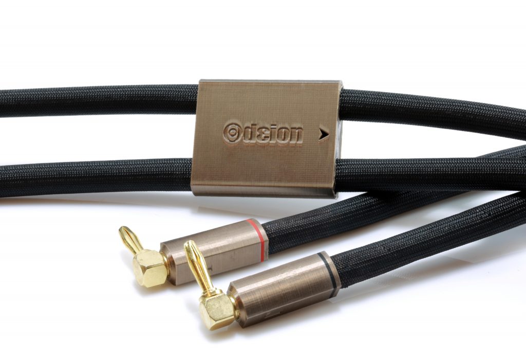Gamma HP Speaker Odeion Cables (détail)